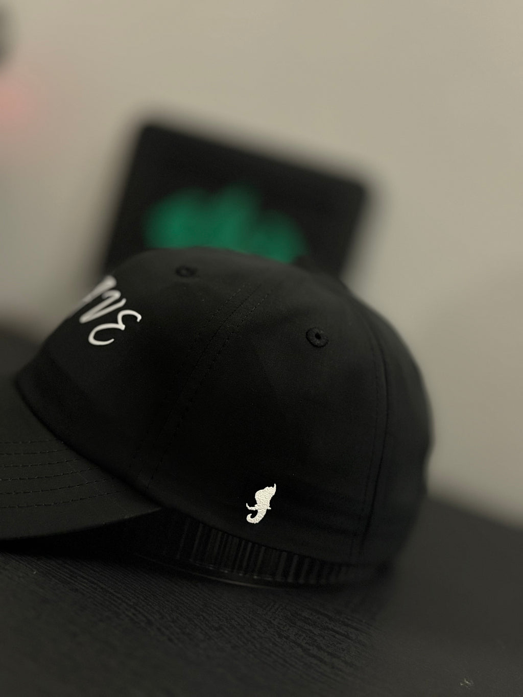 BRAVE™ Cap — J 1:9 Edition