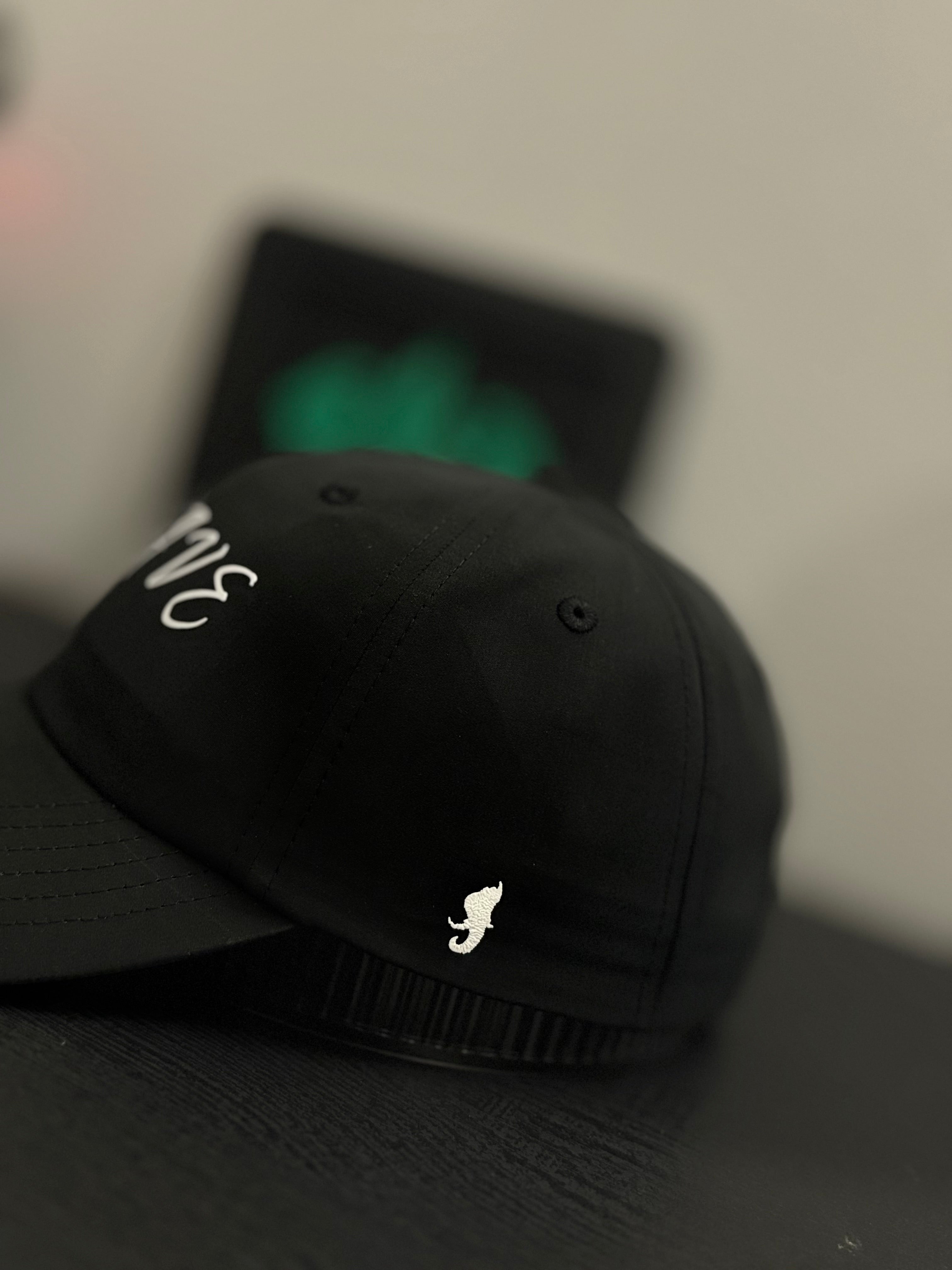 BRAVE™ Cap — J 1:9 Edition